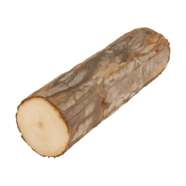 Log Slice 3D model, vytvořený pomocí AI