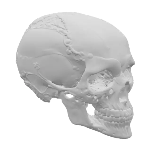 3D model for Cybernetic Skull