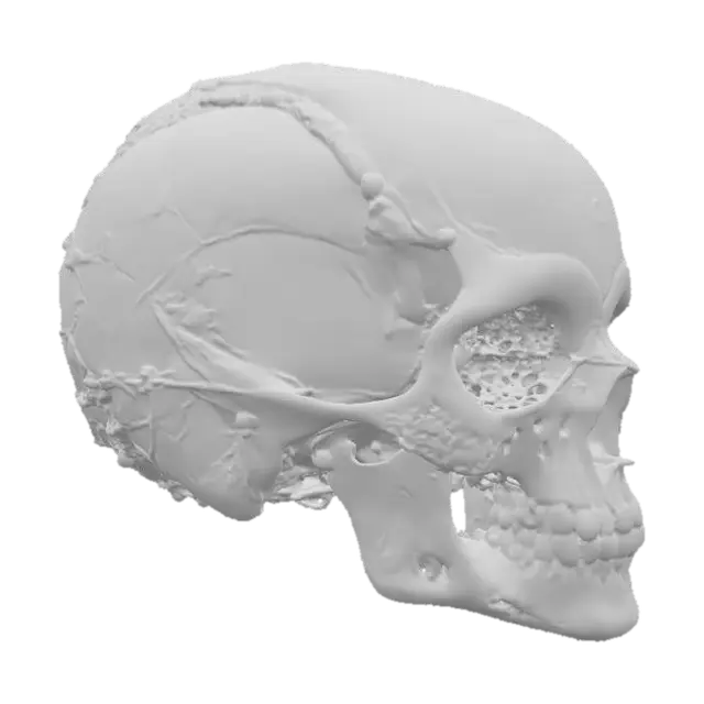 3D model for Cybernetic Skull