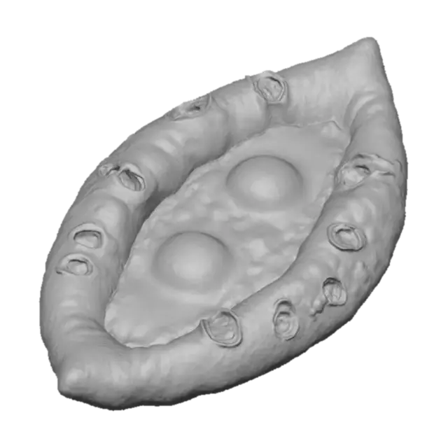 3D model for Khachapuri Delight