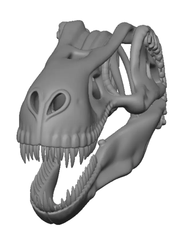 3D model for Trex skull