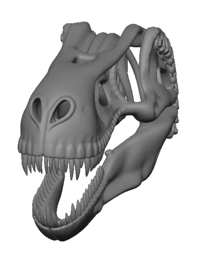3D model for Trex skull