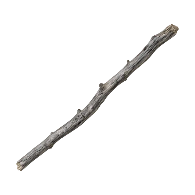3D model for 