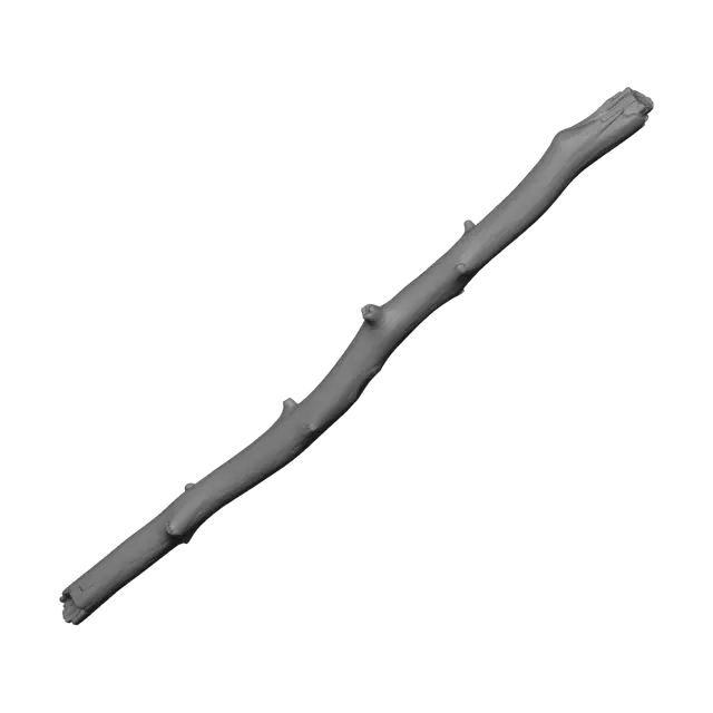 3D model for 