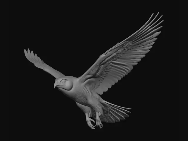 3D model for Stormbound Falcon