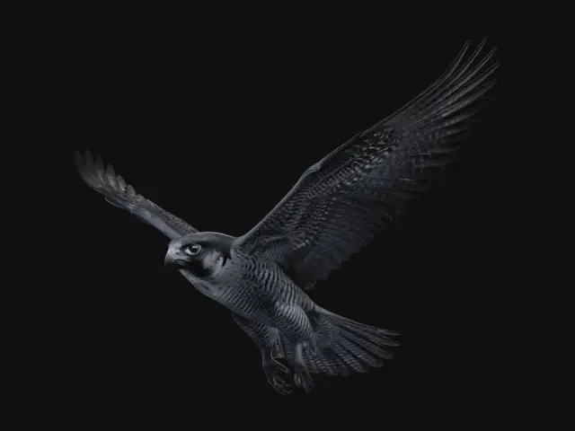 3D model for Stormbound Falcon