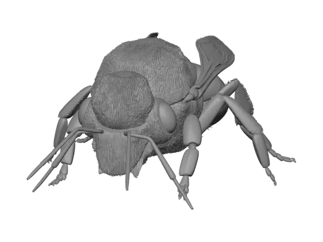 3D model for Honeybee on Weathered Wood
