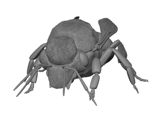 3D model for Honeybee on Weathered Wood