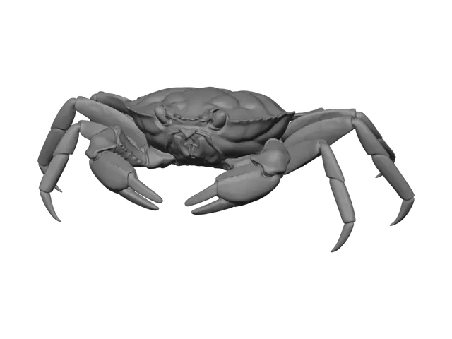 3D model for Ironclad Crab