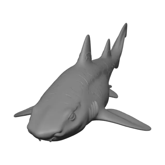 3D model for Midnight Shark