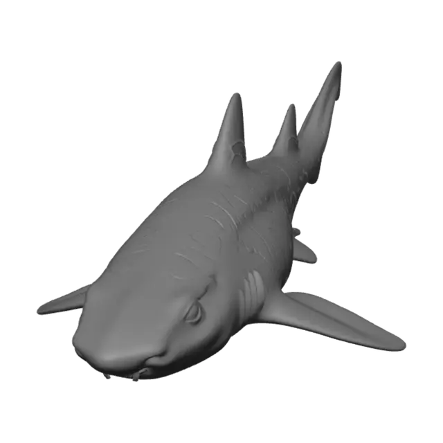 3D model for Midnight Shark