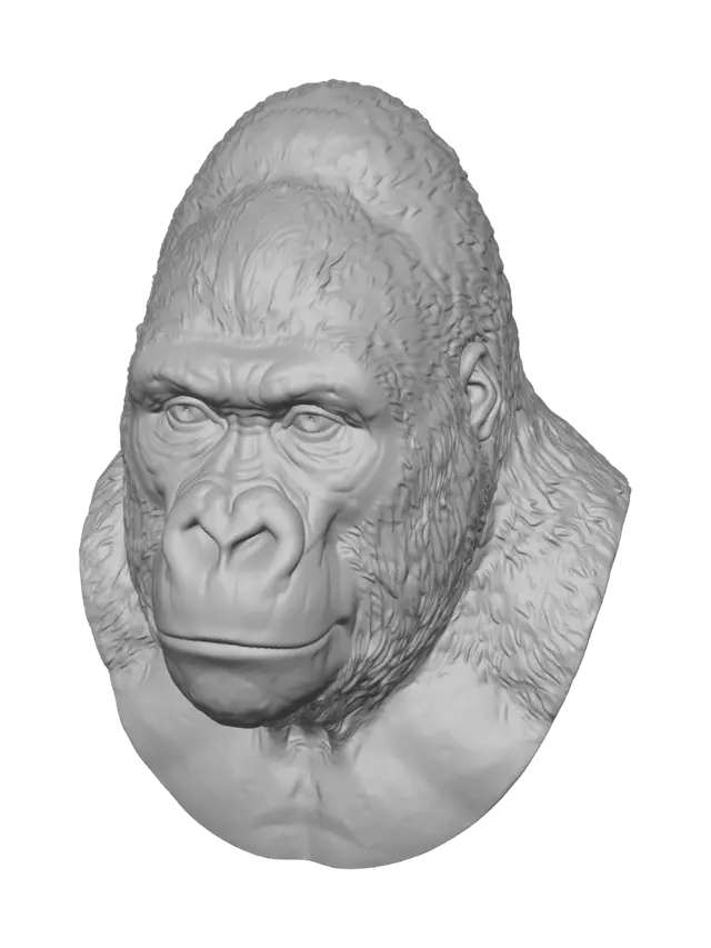 3D model for Silent Titan