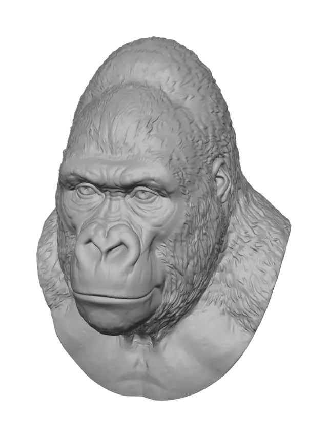 3D model for Silent Titan