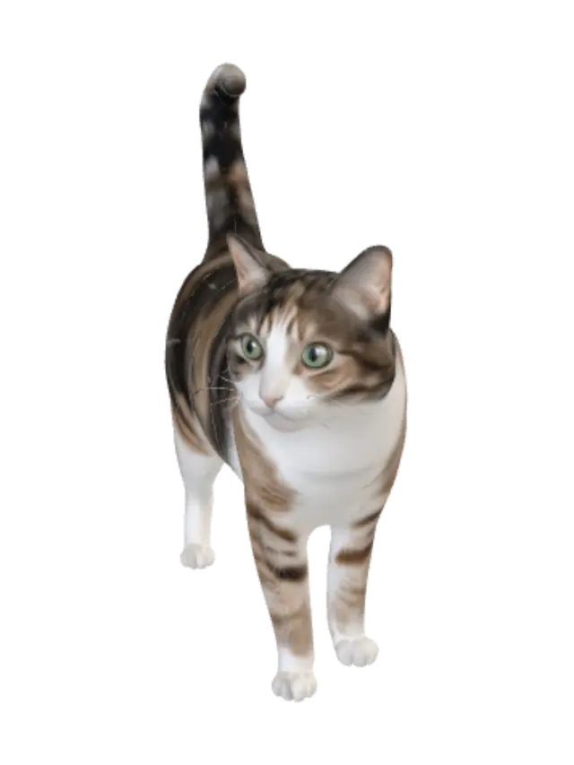 3D model for Green-Eyed Calico at Home