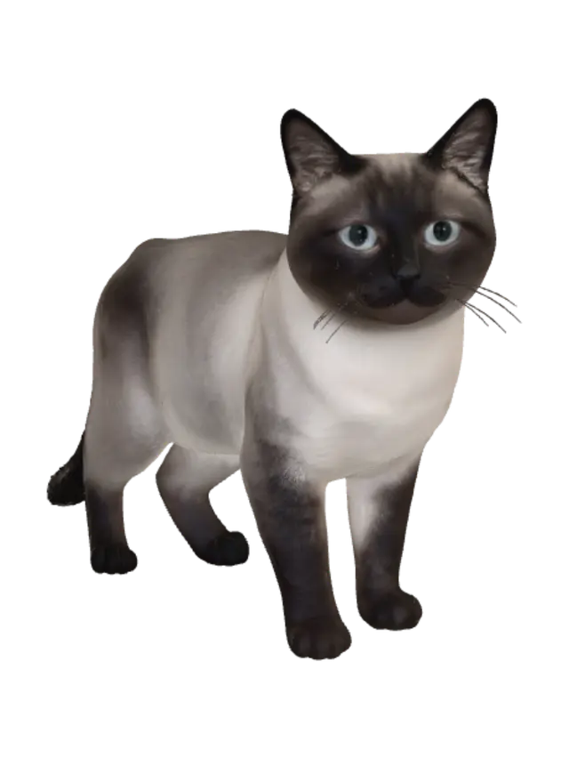 Modello 3D Blue-Eyed Siamese Cat - Catmodel, generato dall’IA