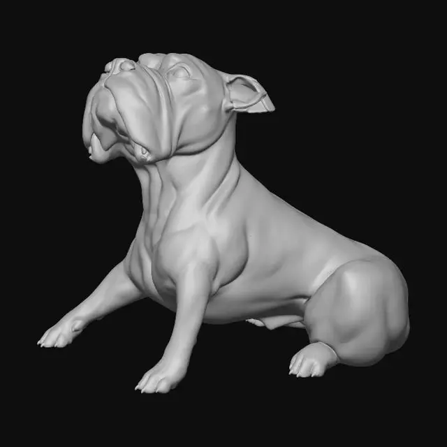3D model for paco 8