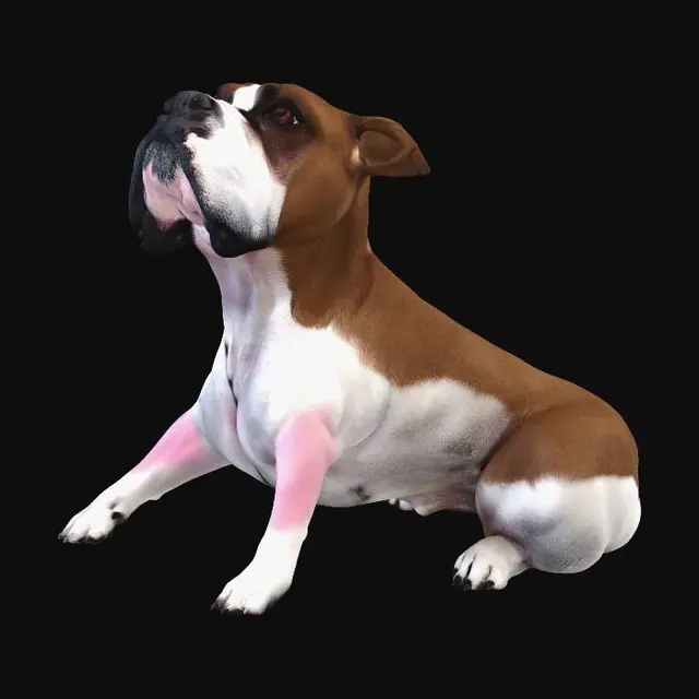 3D model for paco 8