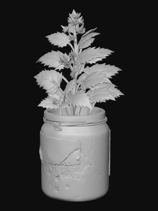 3D model for Herbal Remedy in a Glass Jar