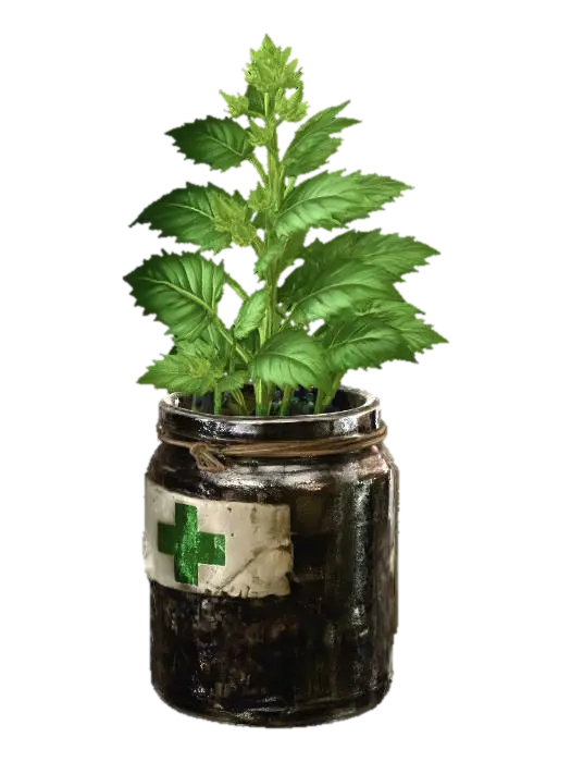Herbal Remedy in a Glass Jar - Diy 3D model, vytvořený pomocí AI