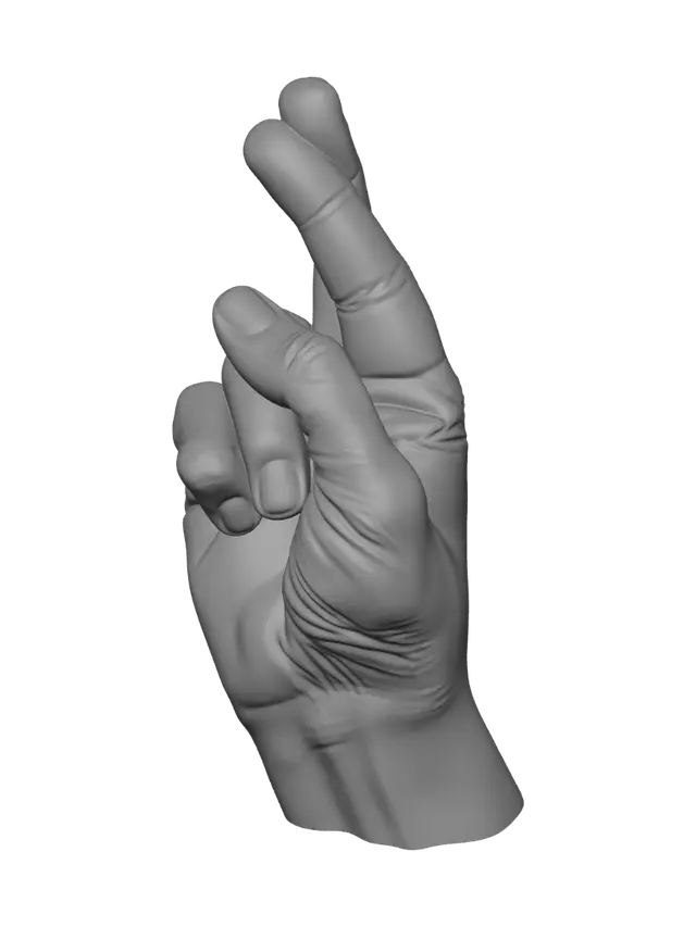 3D model for Crossed fingers