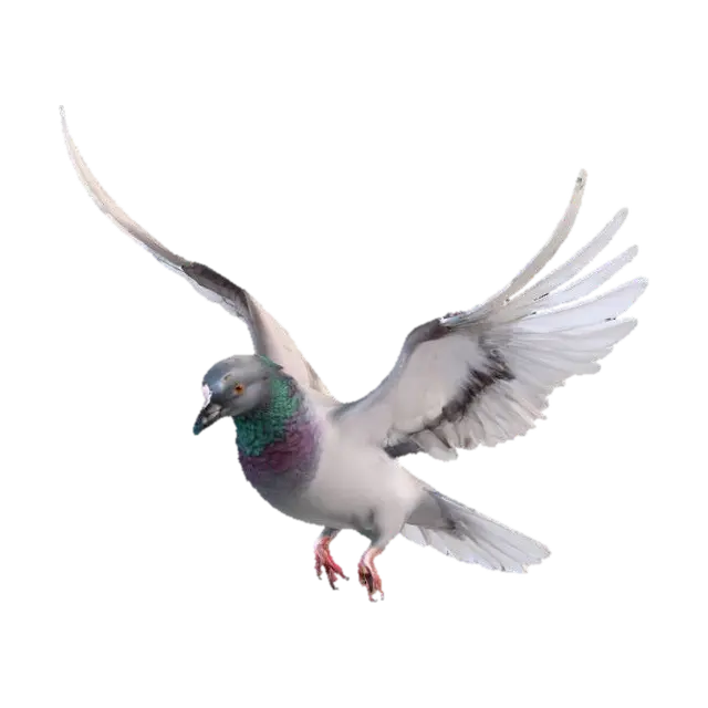 Ultra-realistic rendering of a flying pigeon in mid-air, wings open, realistic… - Isolated 3D model, vytvořený pomocí AI
