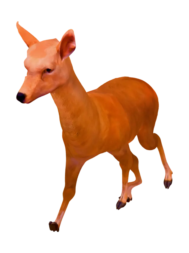 3D model for Copper Doe