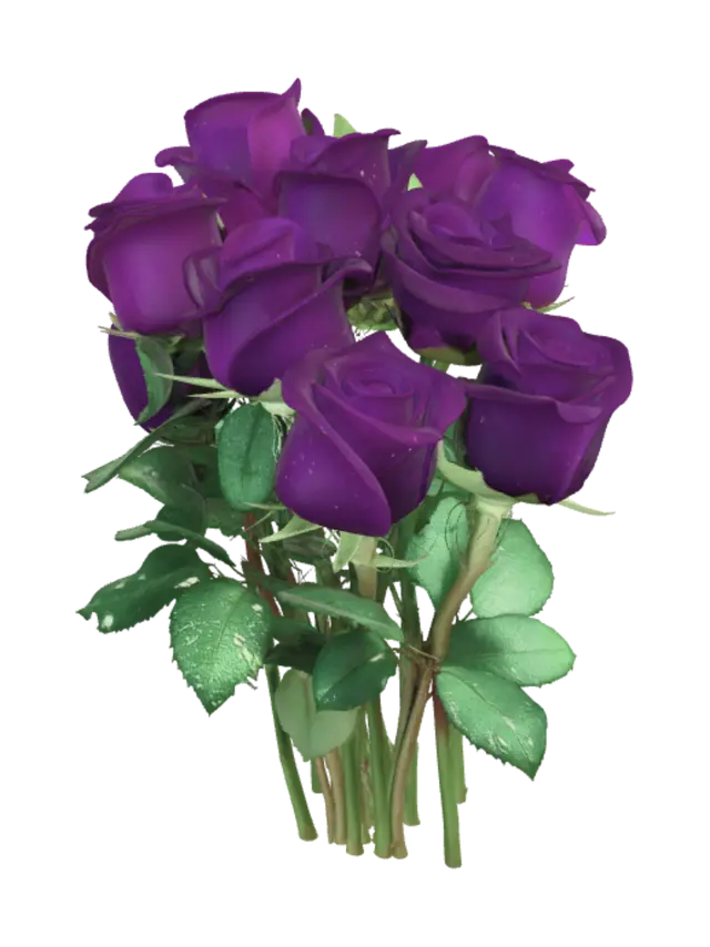3D model for Purple Velvet Rose Bouquet