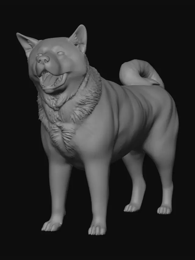 3D model for Smiling Black and White Dog