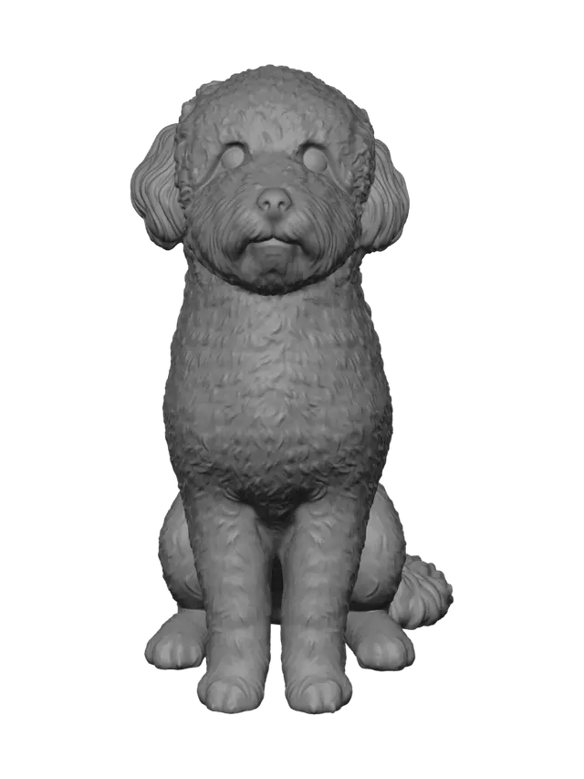 3D model for 