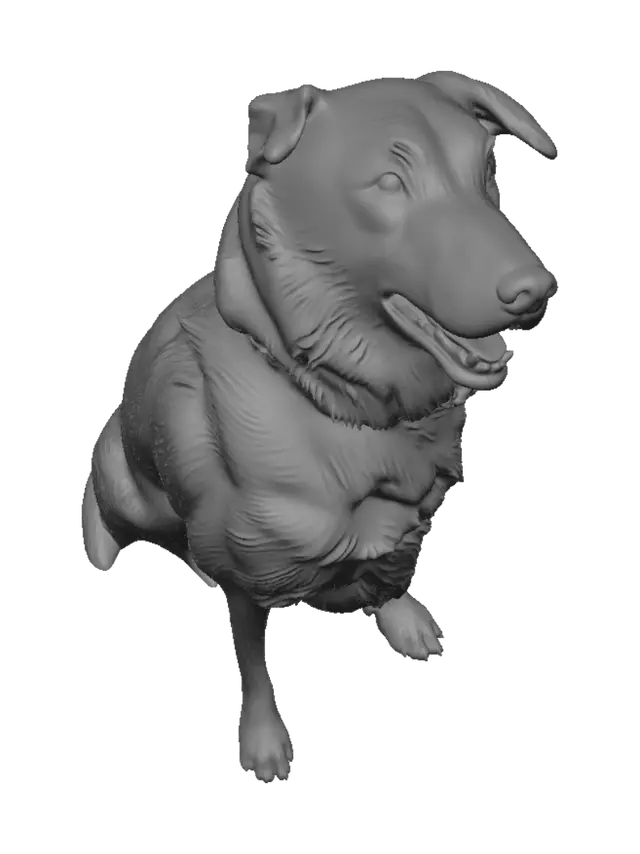 3D model for Patches