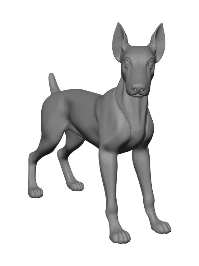 3D model for Doberman pincher articulated dog toy with a scale to size. Also articulate at the joints of legs, hips and neck head. Short docked tail and standard medium crop ears.
head facing forward not turned backwards