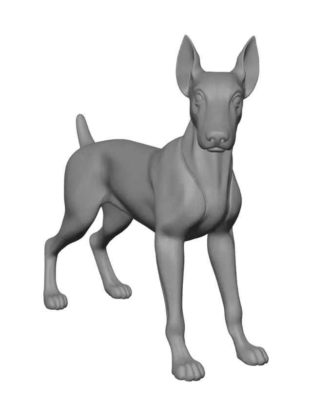 3D model for Doberman pincher articulated dog toy with a scale to size. Also articulate at the joints of legs, hips and neck head. Short docked tail and standard medium crop ears.
head facing forward not turned backwards