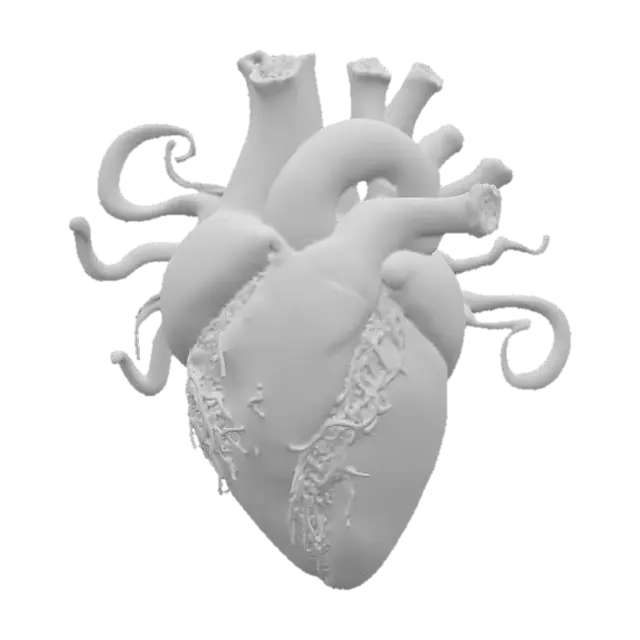 3D model for an undead heart powered by dark magics and glowing with a hellish glow from within, tentacles extend from this as if looking for a host.