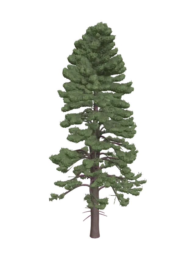 3D model for Pinetree