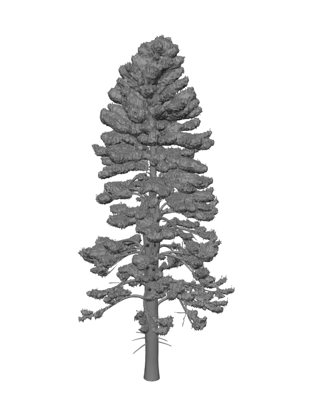 3D model for Pinetree