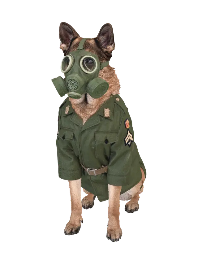 3D model for Canine Commander