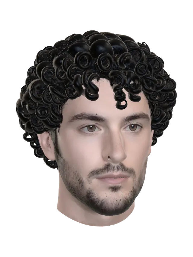 3D model for Curly Hair Portrait