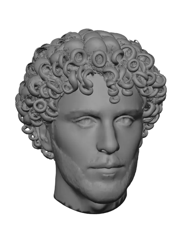 3D model for Curly Hair Portrait