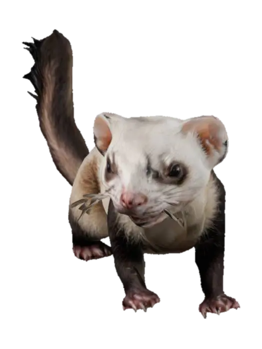 ferret, with sharp claws 3D model, vytvořený pomocí AI