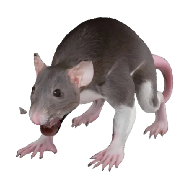 Long, thin, monstrous ferret 3D model, vytvořený pomocí AI