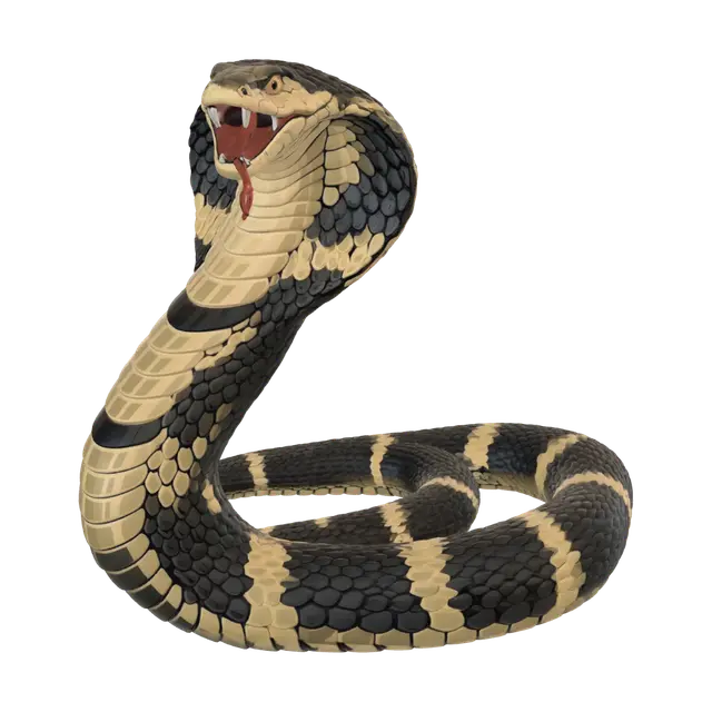 3D model for Jungle Cobra by the River
