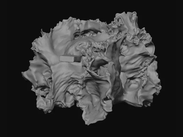 3D model for Green Leaf Lettuce