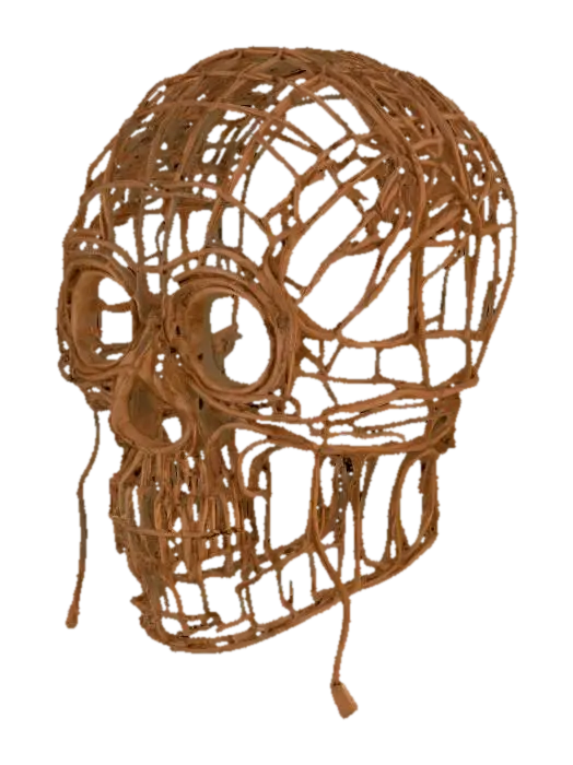 Wireframe Skull Illusion - Lentejas 3D model, AI generated