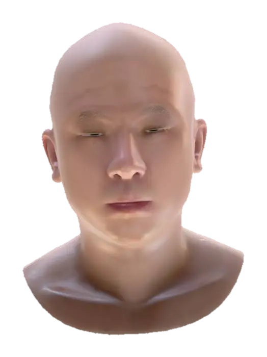 UV_head - Skins 3D model, vytvořený pomocí AI