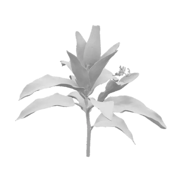 3D model for Luminous Lily, #SketchTo3D#