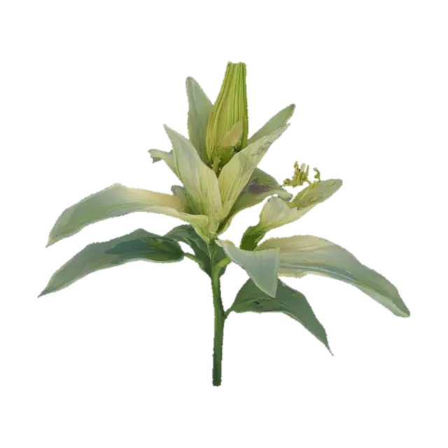 3D model for Luminous Lily, #SketchTo3D#