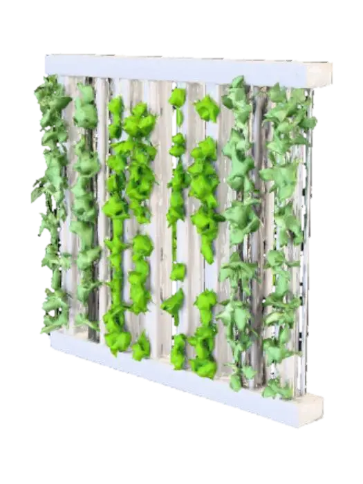 hydroponic grow wall, evenly spaced holes with lush heads of lettuce growing… - Ecofriendly 3D model, vytvořený pomocí AI