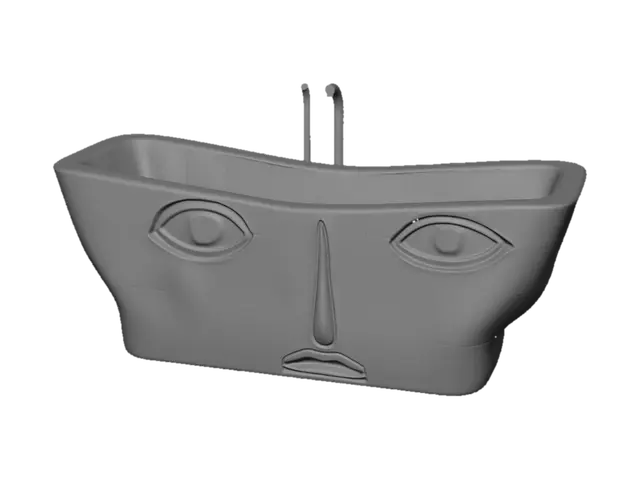 3D model for Face in the Tub