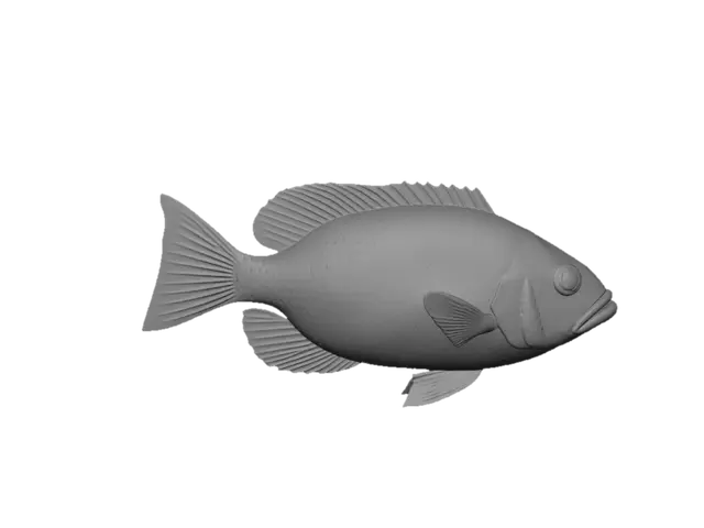 3D model for A sweetlips fish, coral reef sized. Realism styled, not cartoonish.