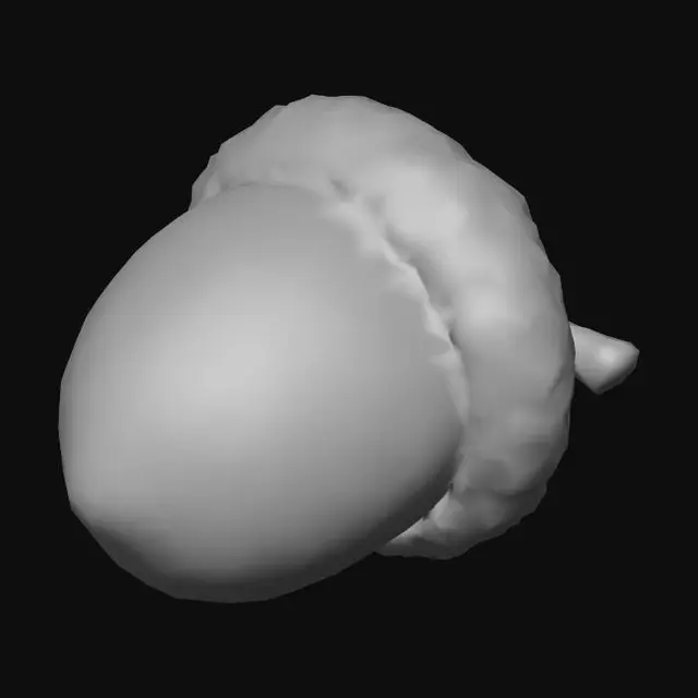 3D model for Acorn, #Thanksgiving#